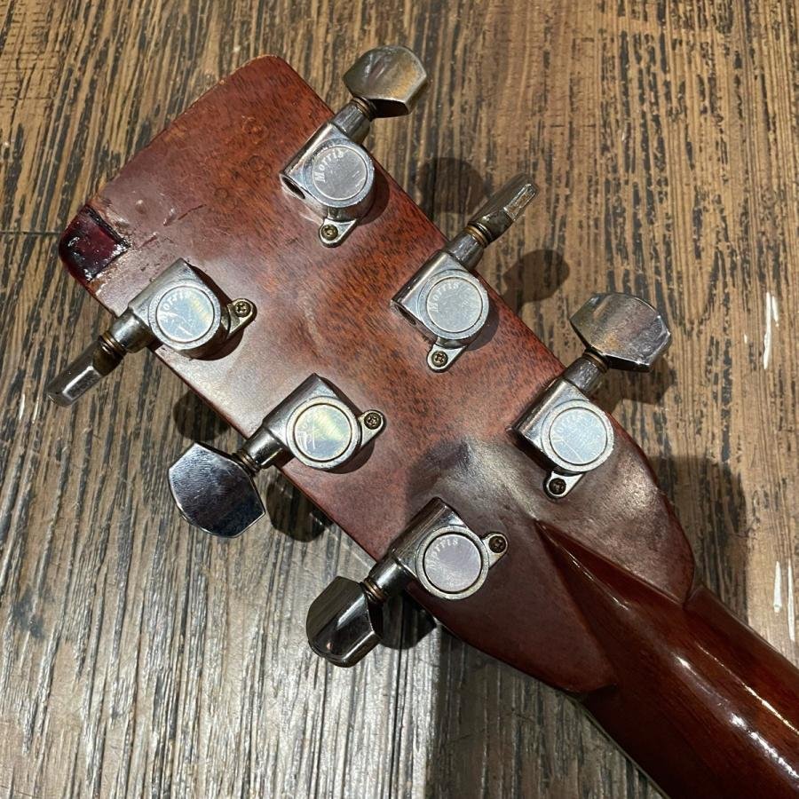 Morris Morris W-50 TF Acoustic Guitar Made in Japan