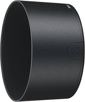 Amazon.com : Nikon AF-S DX NIKKOR 55-300mm f/4.5-5.6G ED Vibration