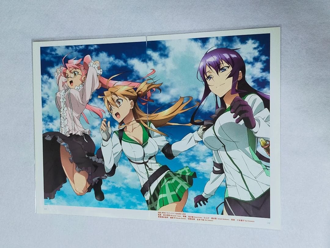 ハイスクールオブザデッド　額装飾　学園黙示録　漫画本＞カード＞ポスター＞その他